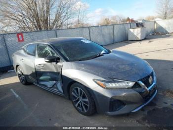  Salvage Nissan Maxima