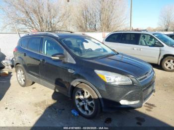  Salvage Ford Escape