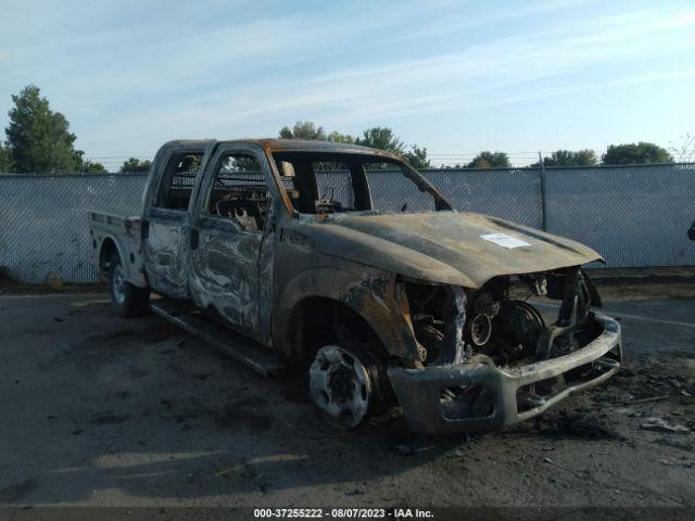  Salvage Ford F-250