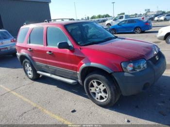  Salvage Ford Escape