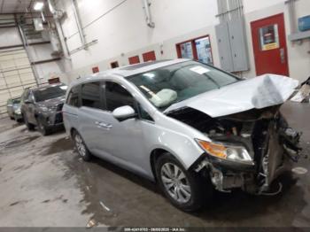  Salvage Honda Odyssey