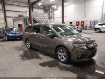  Salvage Honda Odyssey