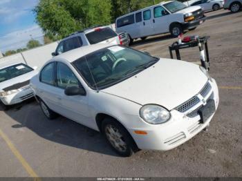  Salvage Dodge Neon