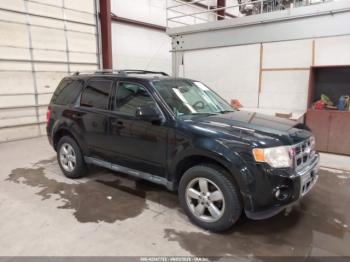  Salvage Ford Escape