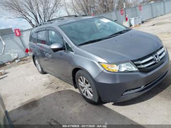  Salvage Honda Odyssey