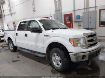  Salvage Ford F-150