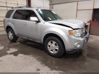  Salvage Ford Escape