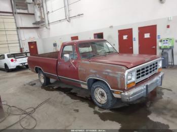  Salvage Dodge D-series