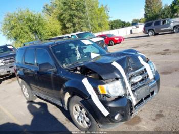  Salvage Ford Escape