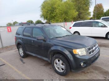  Salvage Ford Escape