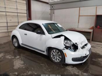  Salvage Volkswagen Beetle