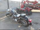 Harley-Davidson Flstf Image 5