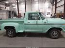 Ford F-100 Image 3