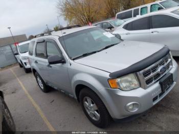 Salvage Ford Escape
