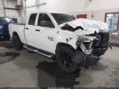 Ram 1500 Tradesman  4x4 6'4 Box Image 1