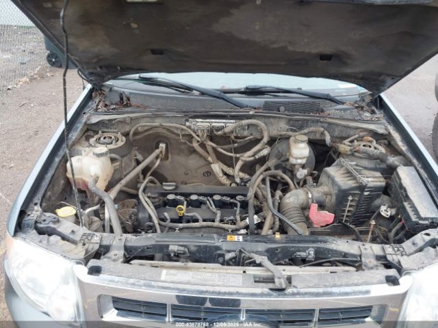 Ford Escape Xlt Image 2