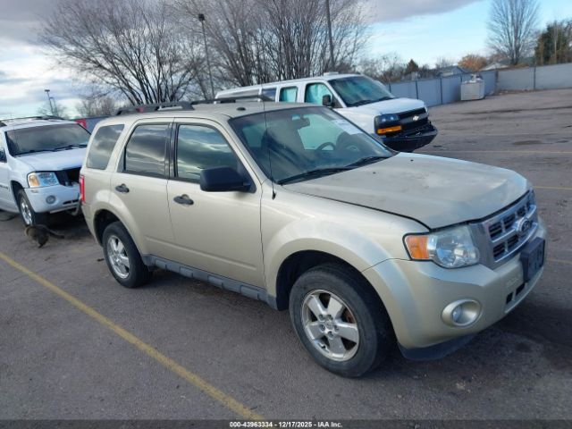 Ford Escape Xlt Image 1