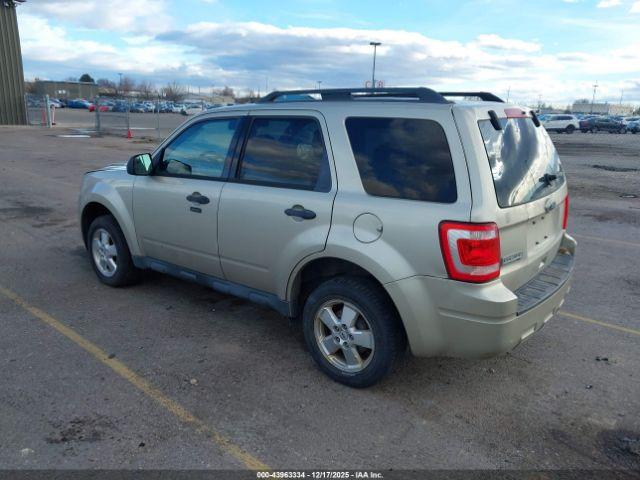 Ford Escape Xlt Image 3