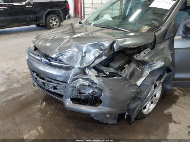 Ford Escape Se Image 8