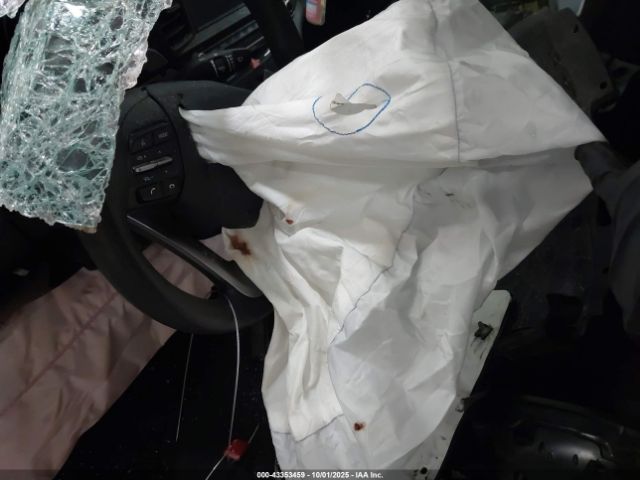 Hyundai ELANTRA Sel Image 12