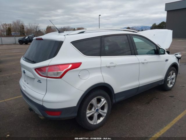 Ford Escape Se Image 5