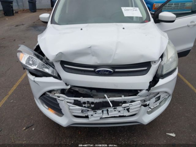 Ford Escape Se Image 10