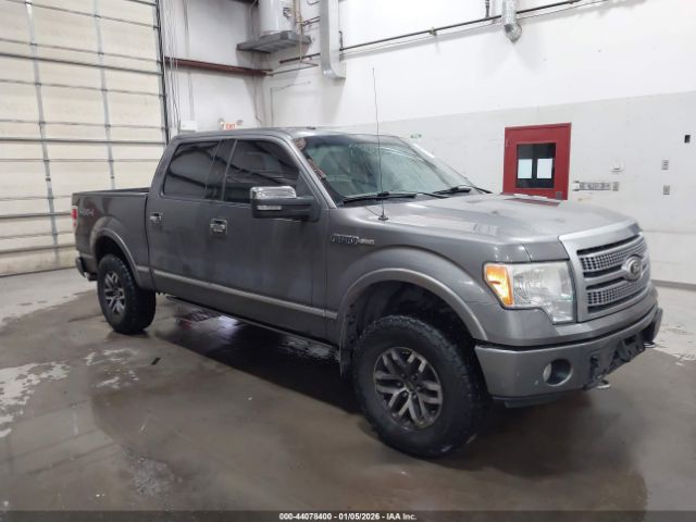 Ford F-150 Image 1