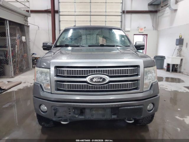 Ford F-150 Image 2