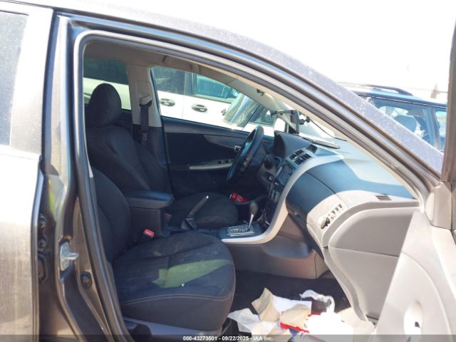 Toyota Corolla S Image 8